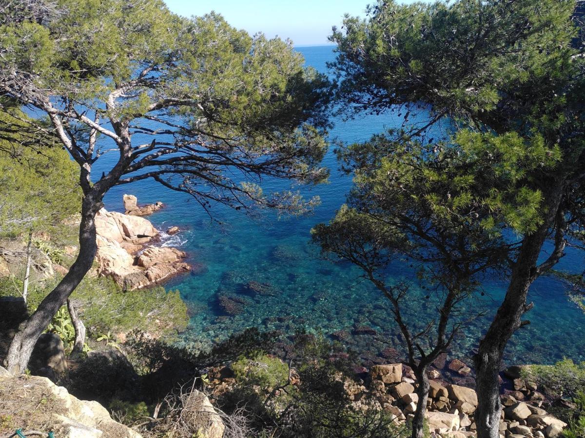 Hotel Mas Del Sol Vall-Llobrega Eksteriør bilde